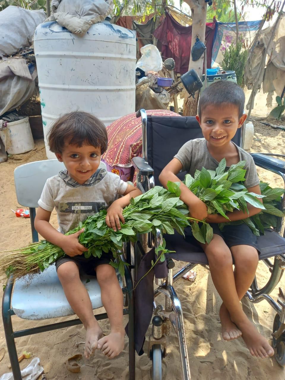Image: Two boys in Gaza holding molokheya received from AISHA